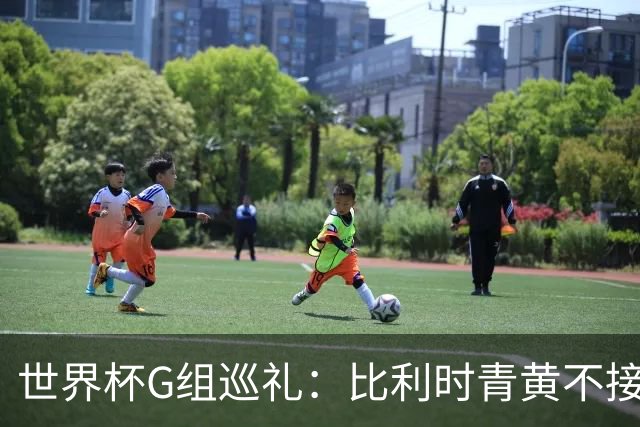 世界杯G组巡礼：比利时青黄不接 伊朗赴美参赛风波不断
